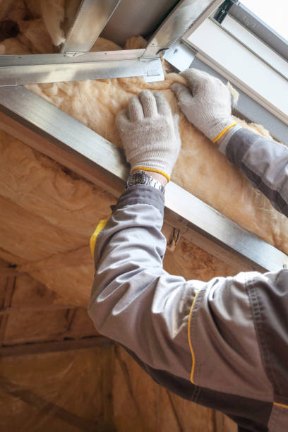 Best Residential Insulation in University Park, MD