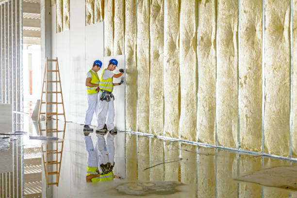 Best Residential Insulation in University Park, MD